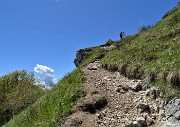 53 In costante ripida salita dalla Bocchetta di Desio alla cima del Due Mani